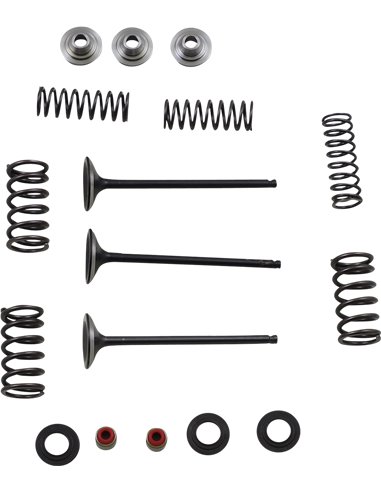 Yz250F Moose Racing Hp M80-80850 Stainless Steel Intake Valve & Spring Kit