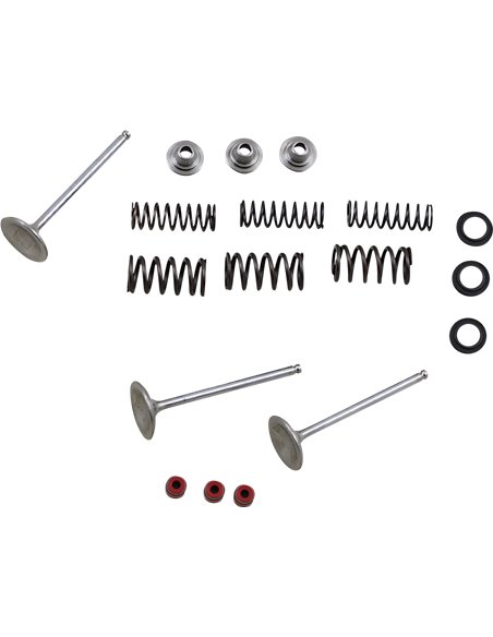 Kit de moll i vàlvula d'admissió d'acer inoxidable Yz450F Moose Racing Hp M80-80950