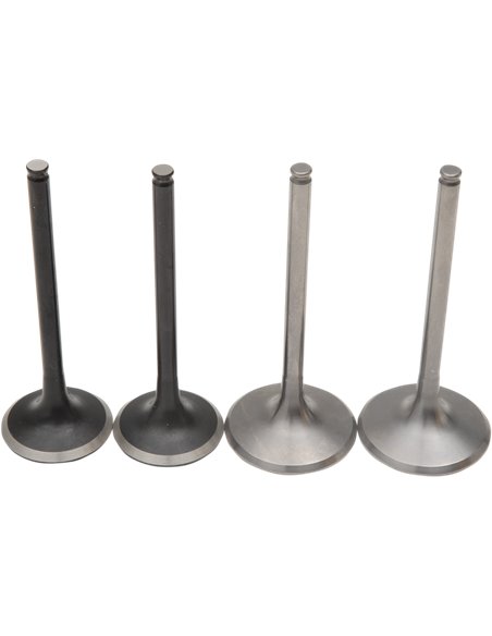 Kit ressort et soupape d'admission en acier inoxydable Pro Trx450X Moose Racing Hp M30-32300