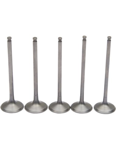 Kit de moll i vàlvula d'admissió d'acer inoxidable Pro Yz250F Moose Racing Hp M80-81070