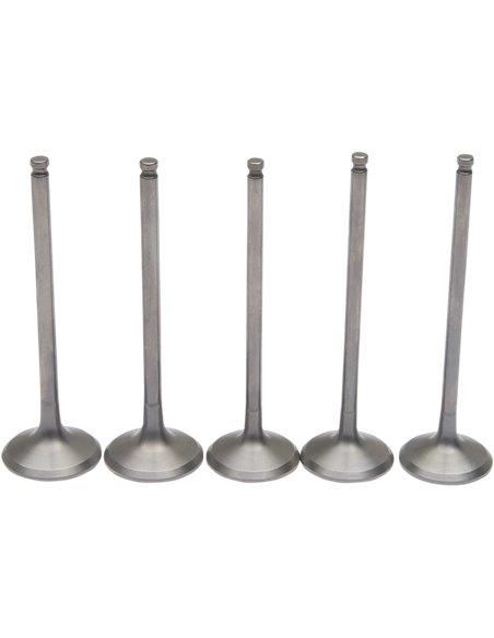 Pro Yz250F Moose Racing Hp M80-81070 Stainless Steel Intake Valve Spring Kit