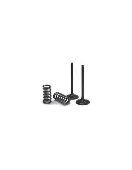 ProX Valve And Spring Exhaust Kit 28.SES6334-1