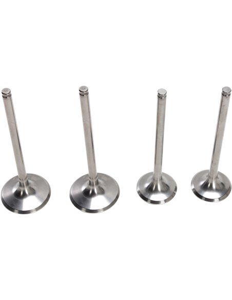 Kit de válvula de admissão e mola de aço inoxidável Pro Crf250R Moose Racing Hp M30-32315