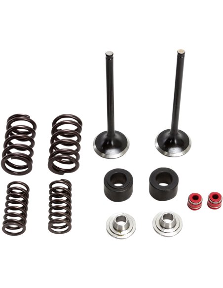Kit de soupape d'admission et de ressort en acier inoxydable Crf250R Moose Racing Hp M30-32450