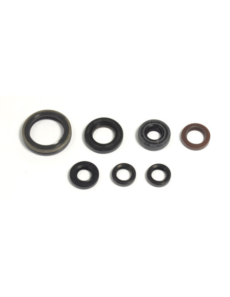 Kit de retenes del motor Athena P400485400039