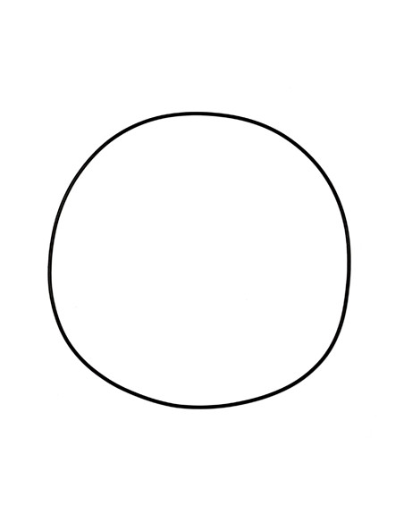 ProX Clutch Cover Gasket Honda 19.G1334