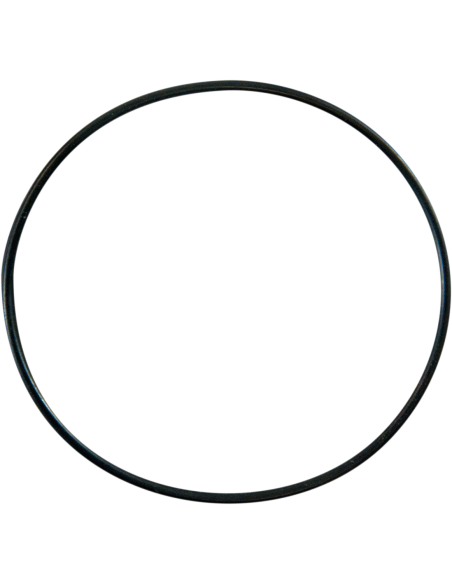 O-Ring da bomba de água de substituição PRO CIRCUIT PC4008-0401