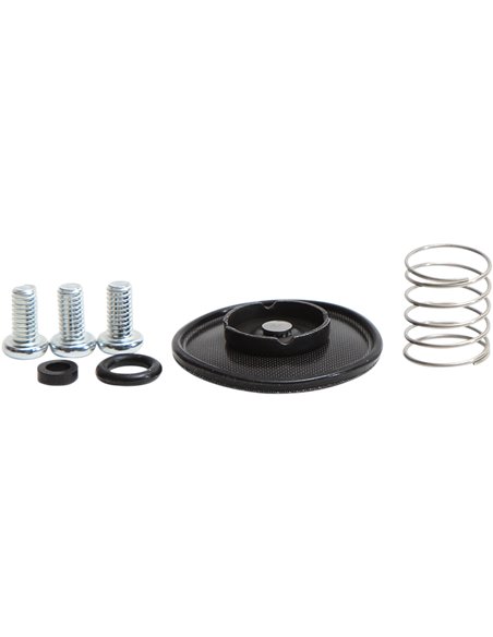 Accel. Pump Rebuild Kit ALL BALLS - MOOSE 46-3002