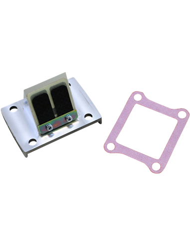 RAD VALVE CARBON FIBER BOYESEN RAD-15