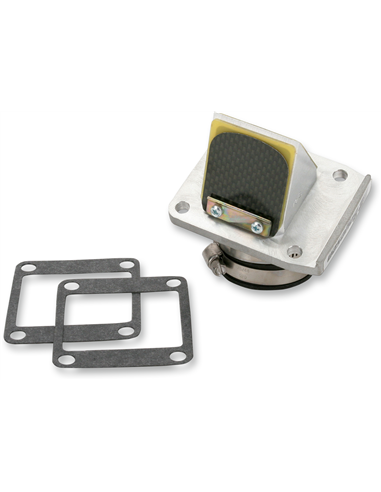 RAD VALVE CARBON FIBER BOYESEN RAD10E