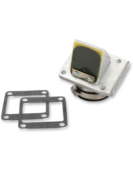 RAD VALVE CARBON FIBER BOYESEN RAD10E