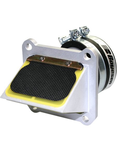 Soupape à clapets Boyesen RAD42E