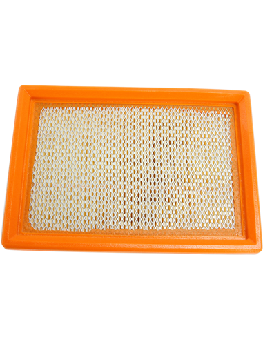 Filtro de aire Hiflofiltro Apr/Guz Hfa6101