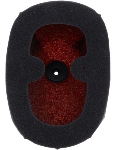 Filtre à air Crf250R Twin_Air 150229Fr