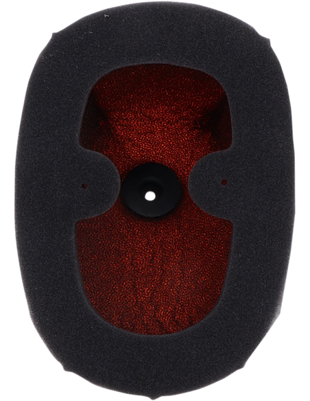 Filtro de ar Crf250R Twin_Air 150229Fr