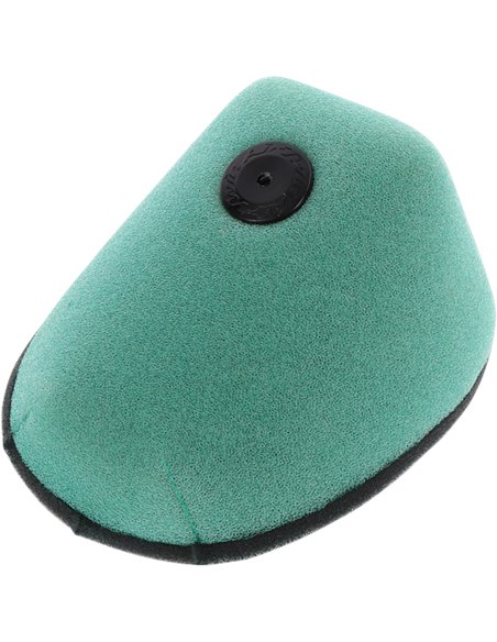 Filter Air Bf Pre Oiled Twin Air 150229Frx