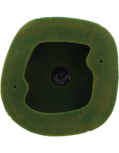 Filter Air Preoiled Beta 158089X