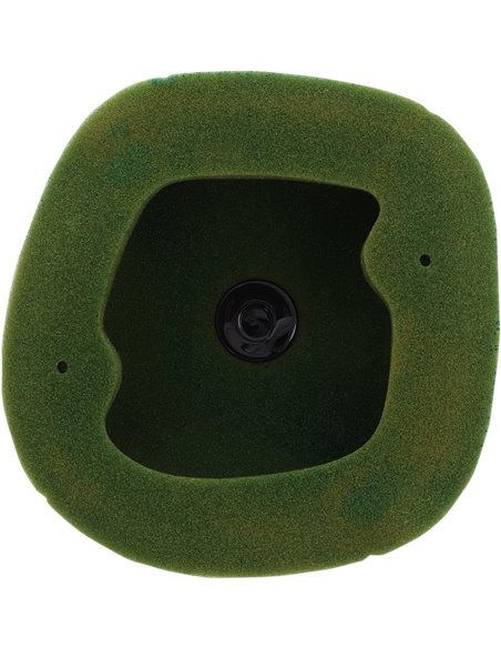 Filter Air Preoiled Beta 158089X