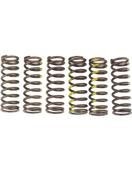 Conjunto de molas de embreagem PRO CIRCUIT CSS05450