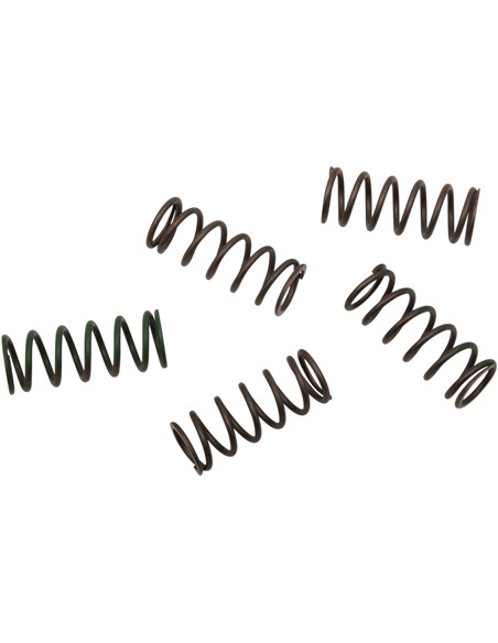 Kit de muelles de embrague Hi-Temp 5-Set Honda/ Ktm HINSON CS29450109