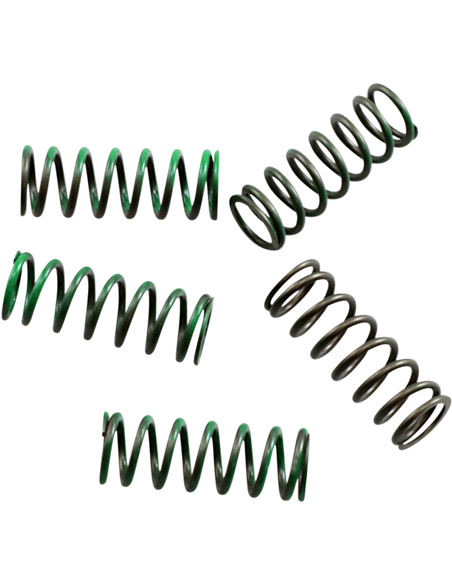 Kit de muelles de embrague Hi-Temp 5-Set Suzuki/ Kawasaki HINSON CS35750109