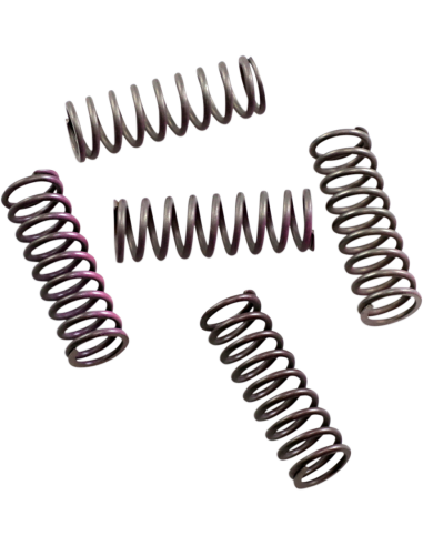 Conjunto de 5 molas de embreagem de alta temperatura Honda / Ktm HINSON CS33050509