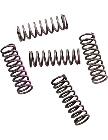 Kit de 5 ressorts d'embrayage Hi-Temp Honda / Ktm HINSON CS33050509