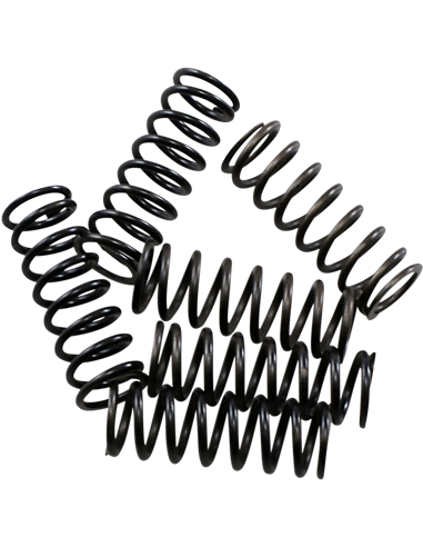 Kit de muelles de embrague Hi-Temp 6-Set Honda HINSON CS18960613