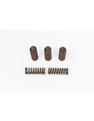 Jeu de ressorts d'embrayage PRO CIRCUIT CSH20250CS