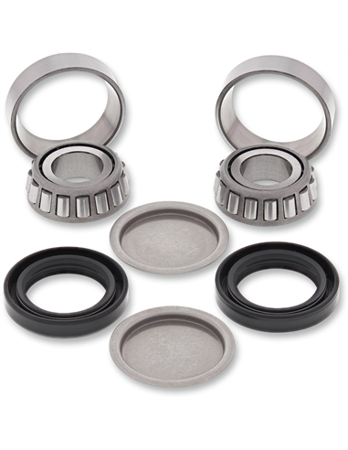 Kit de roulement de bras oscillant ALL BALLS - MOOSE 28-1216