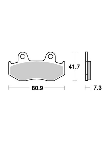 Pastilles de fre Nitro MOTO-MASTER 090.421