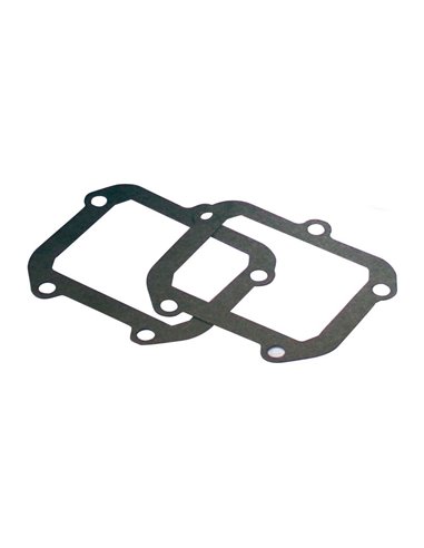 Joints d'étanchéité pour soupape à clapet V-Force G302