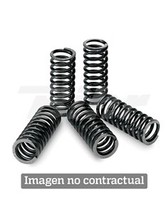 Kit Clutch Springs Suzuki 18461
