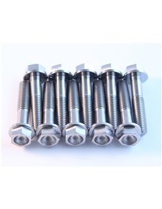 Tornillos de titanio SCAR STIM8X3502
