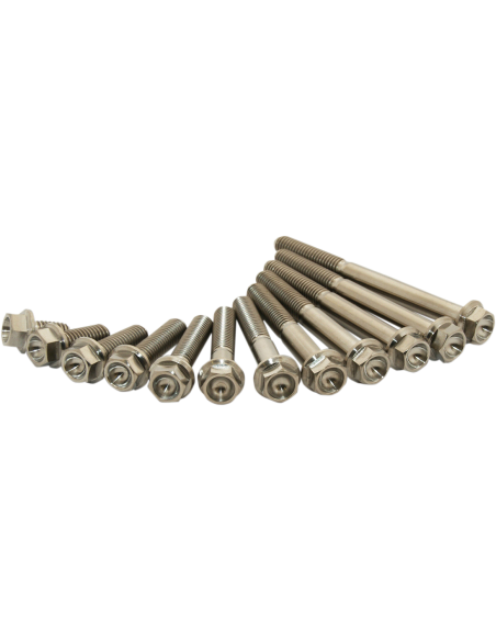 Tornillos de titanio SCAR STIM6X2002