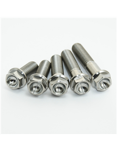 Tornillos de motor SCAR STIMENGCRF450