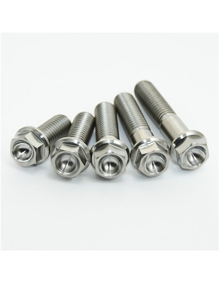 Tornillos de motor SCAR STIMENGKX250F