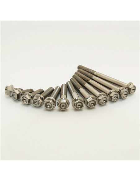 Tornillos de motor SCAR STIMFRCRF450