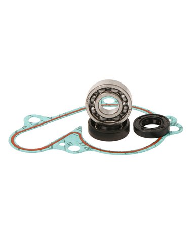 Hot Rods WPK0019 water pump repair kit