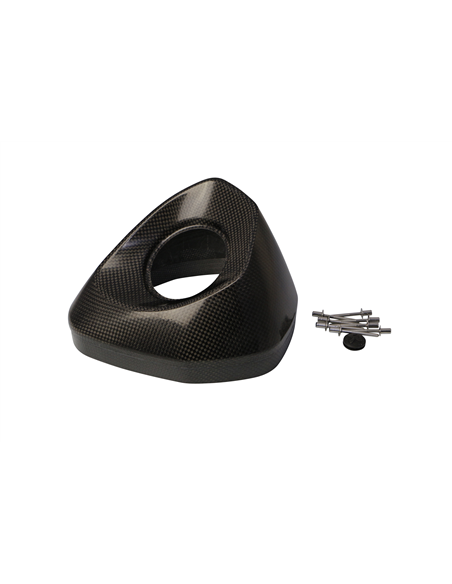 Tapa final AKRAPOVIC V-EC319