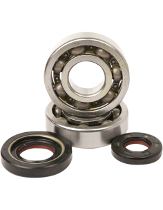 Kit de rodamientos y retenes de cabeza de biela HOT RODS K012