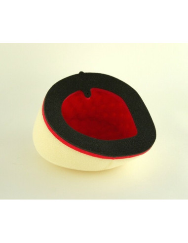 Filtro de aire sin lubricar DT-1 RACING EUROPE EVO-180-50NO