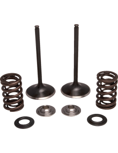 Engine Valve Kit KIBBLEWHITE 30-34000