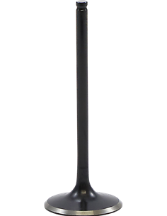 Black Diamond™ Engine Valve KIBBLEWHITE 30-33612