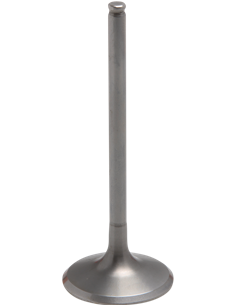 Válvula motor Tensilite® KIBBLEWHITE 30-32812T