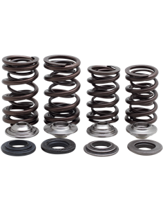 Kit muelles de válvula Racing de gran ligereza KIBBLEWHITE 30-32800