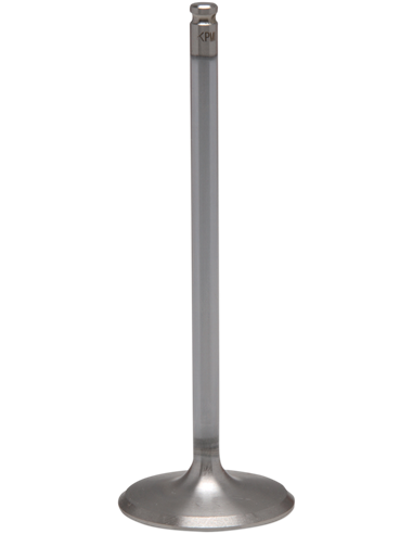 Válvula motor Tensilite® KIBBLEWHITE 30-32816K