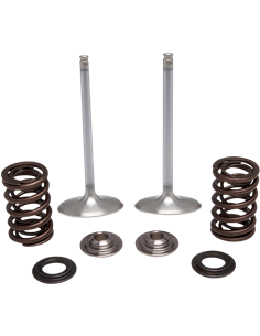 Kits de conversión de válvulas y muelles de acero inoxidable KIBBLEWHITE 30-32780