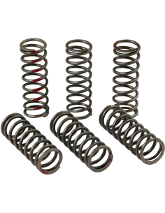 Jeu de ressorts d'embrayage PRO CIRCUIT CSH13450-CS