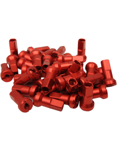 Juego de tuercas de radio MOOSE RACING 24-930